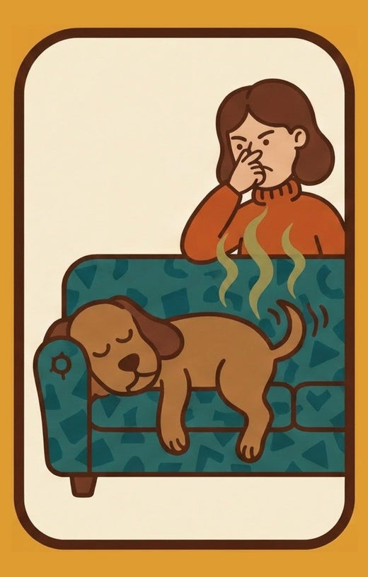 Illustration of a gassy dog asleep on the sofa while the owner holds their nose