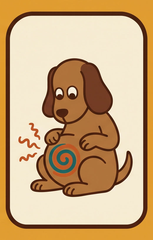Illustration of a dog with a swirling, gurgling tummy